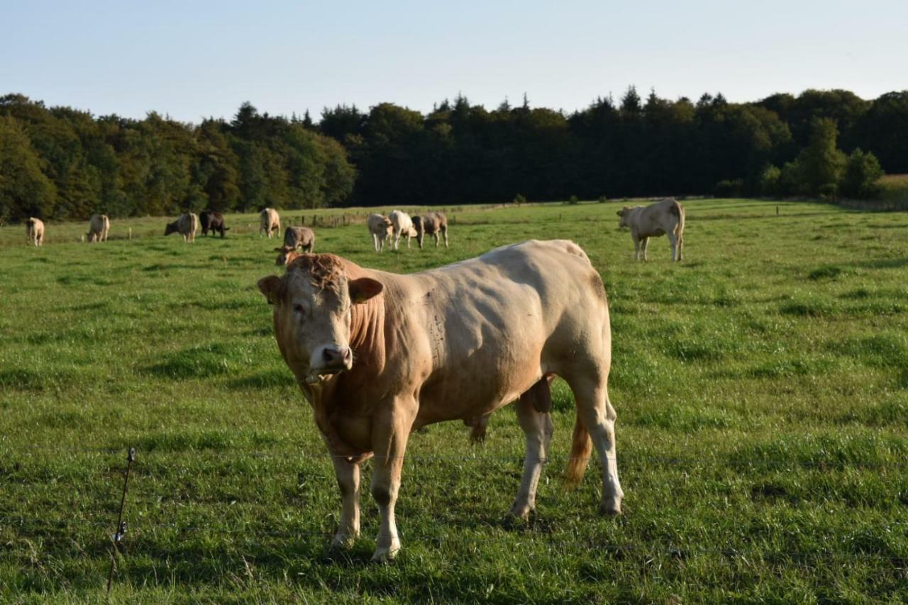 Ferienhaus Nannen Rechtsupweg Zewnętrze zdjęcie