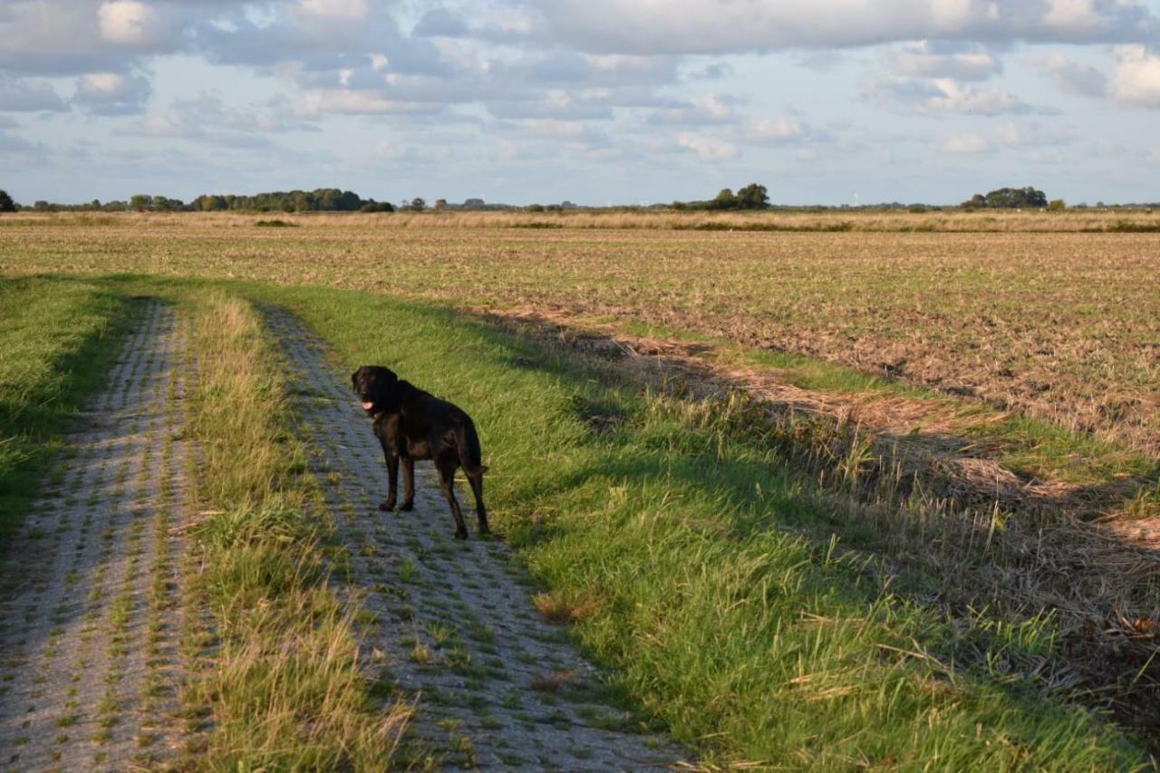 Ferienhaus Nannen Rechtsupweg Zewnętrze zdjęcie